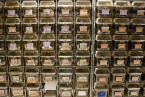 Ainda precisamos de animais na investigação científica?