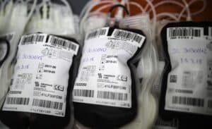 UMinho regista 393 dadores de sangue