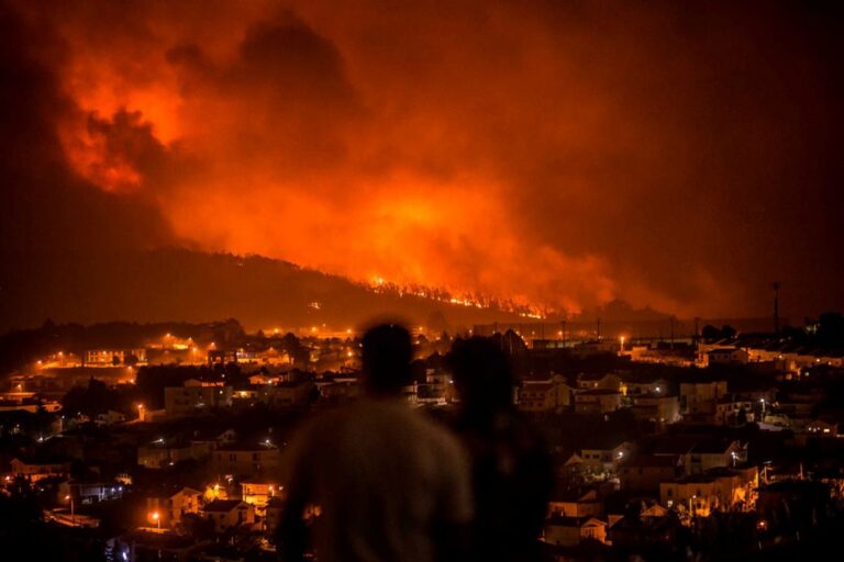 Incêndios. Vereador do Ambiente na CMB alerta para novo barril de pólvora