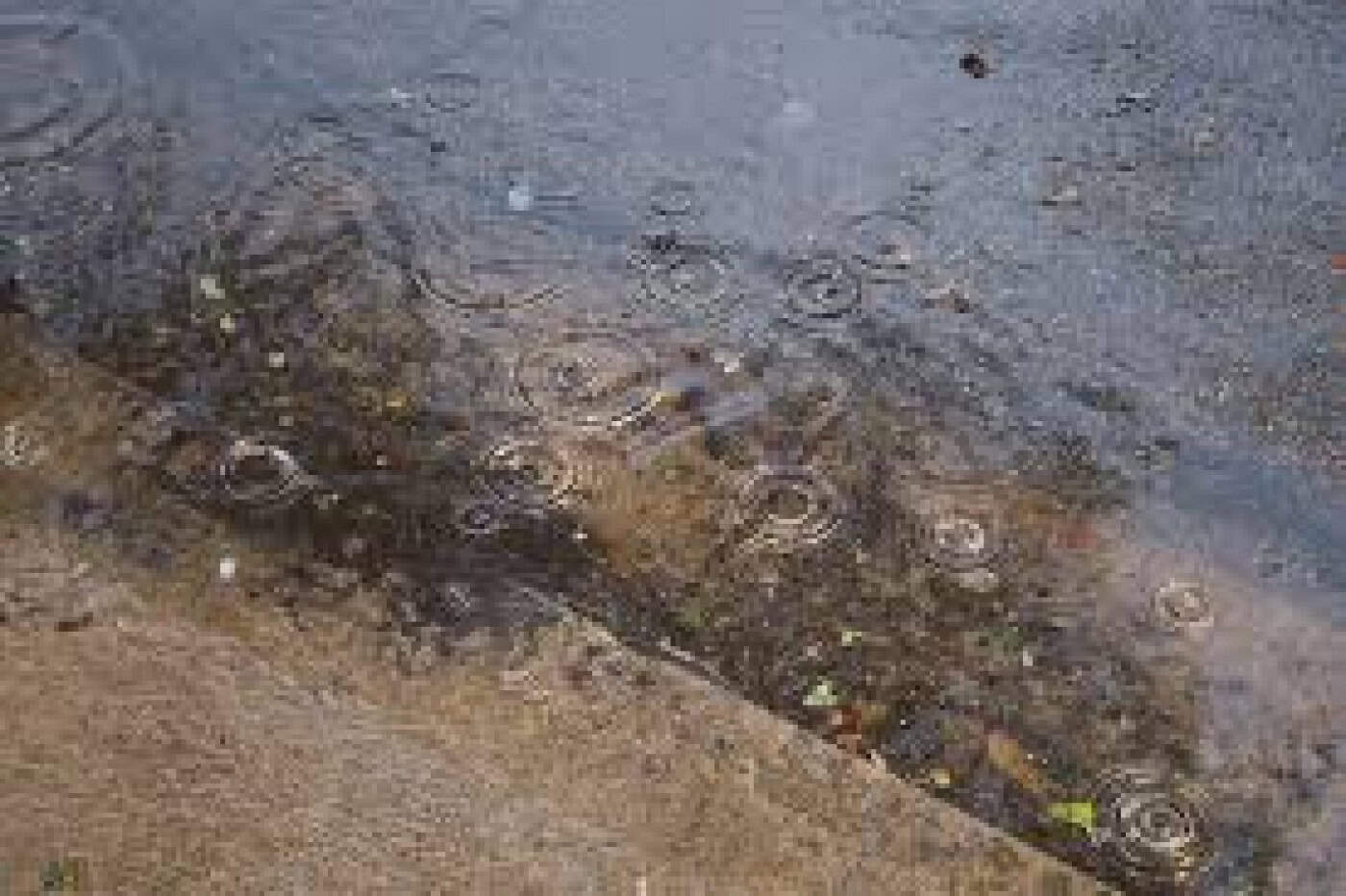 Chuva no norte do país até sábado