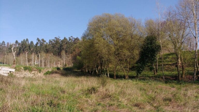 Abertas as inscrições para o Banco de Terras de Guimarães