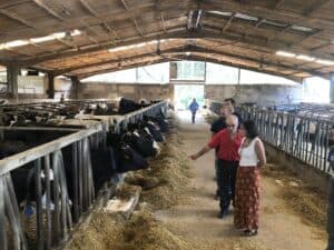 Sector agrícola “é prioritário e precisa de ser incentivado"