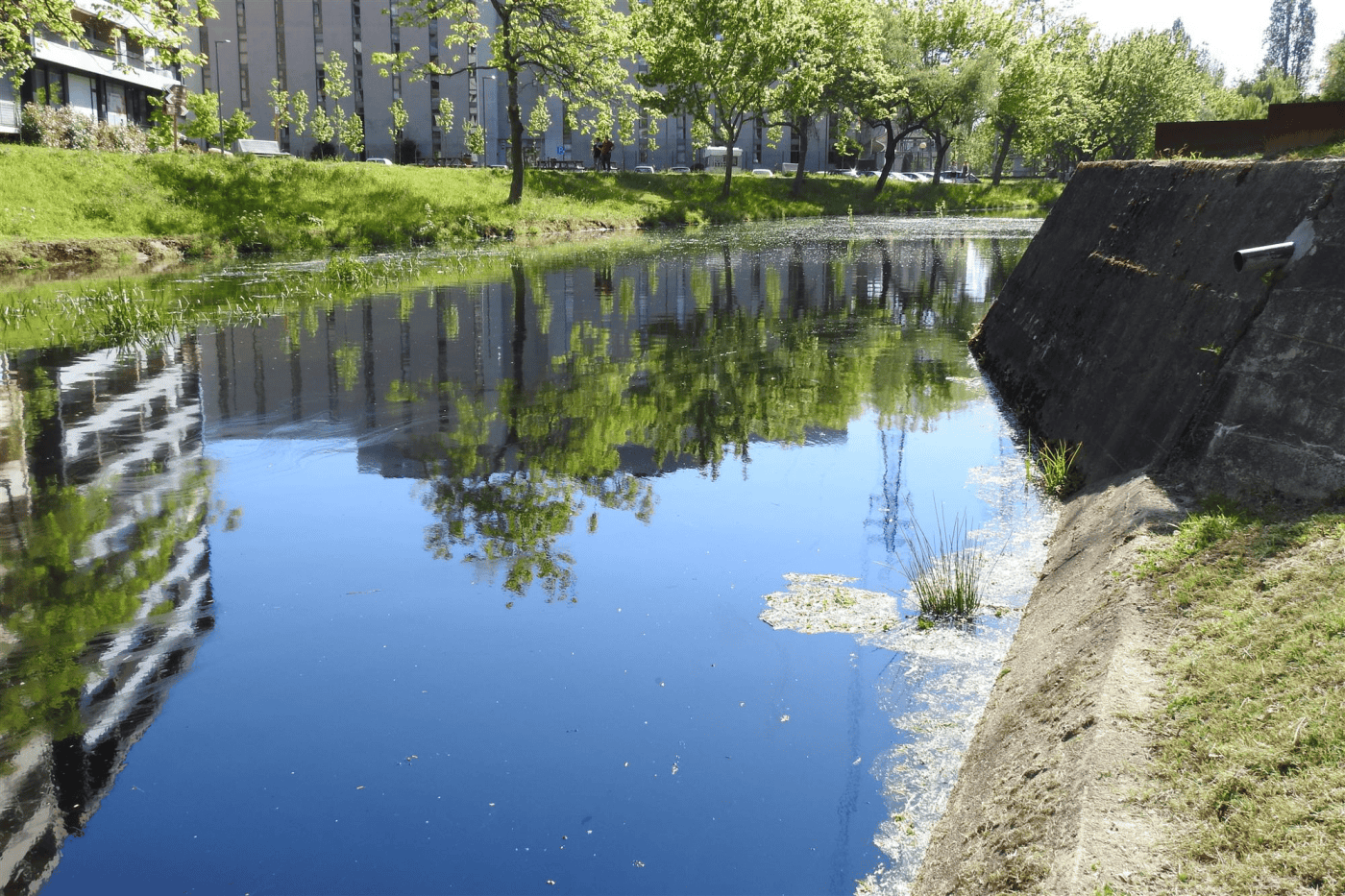 APA disponível para integrar grupo de monitorização do rio Este