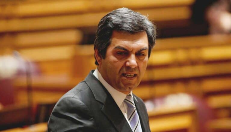 Sec. Estado das Florestas: "A Europa não pode olhar só para a Amazónia"