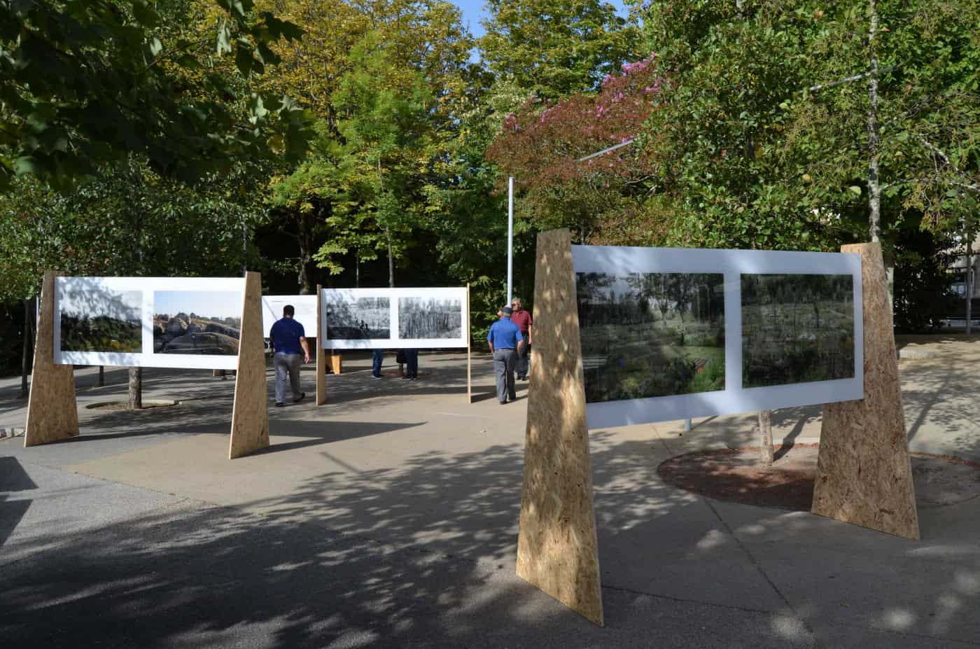 Green Week de Guimarães adiada devido ao mau tempo