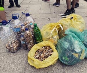 Utilizar beatas em mobiliário para animais? Braga para Todos diz que sim 