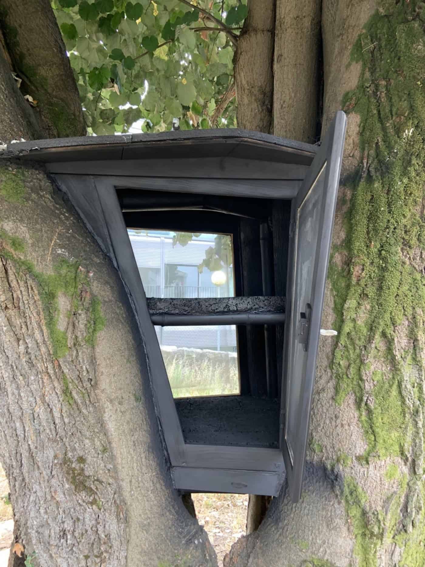 S.Victor quer incutir gosto pelos livros com "Árvore de Leitura"