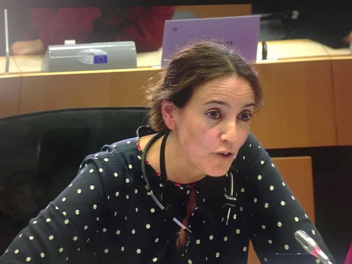 Isabel Estrada Carvalhais questiona política europeia para zonas rurais
