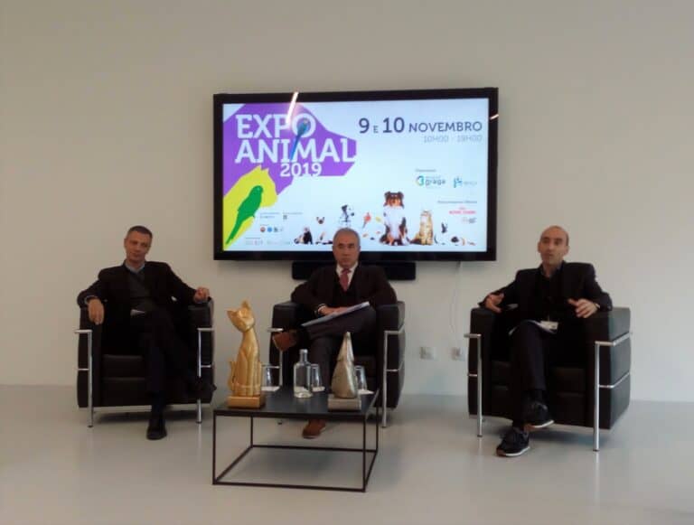 Expo Animal de Braga junta mais de 1600 animais