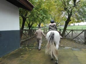 CMB investe 400 mil euros em picadeiro e intervenções na Quinta Pedagógica