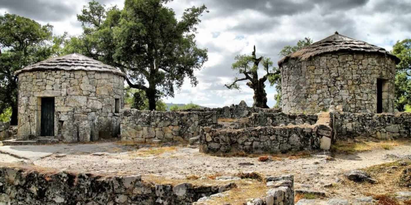 Sociedade Martins Sarmento homenageia sobreiro da Citânia