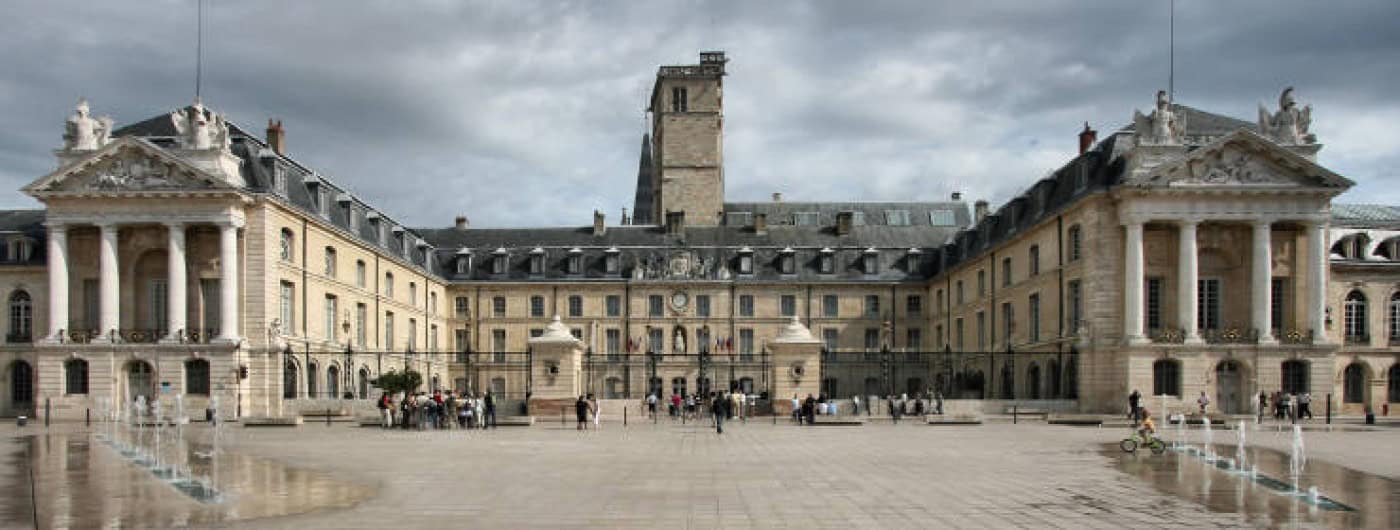 CMG procura jovem para projecto de colaboração em Dijon