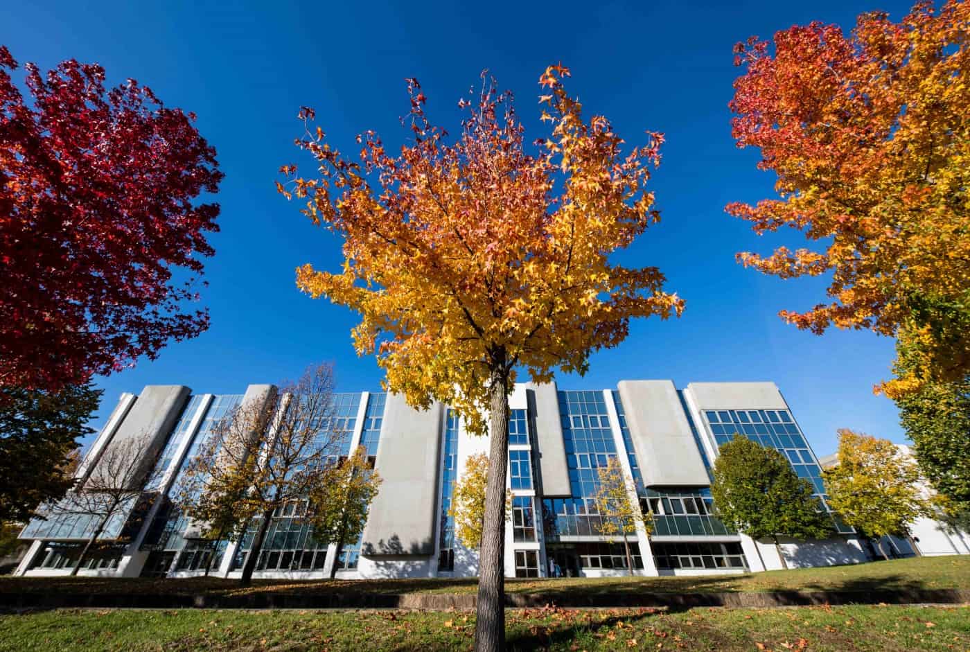 ObservatoriUM apresenta resultados da análise aos percursos dos alunos