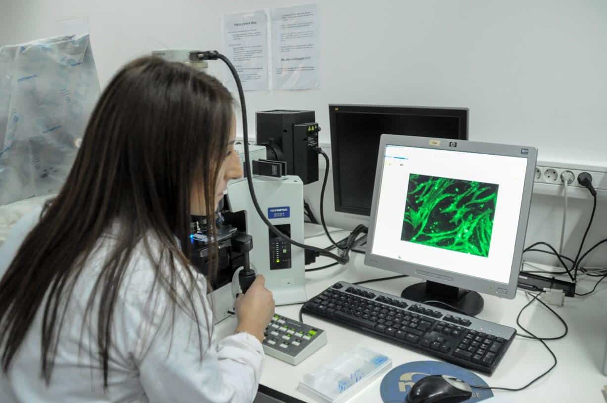 UMinho sugere terapia que controla cancro do colo do útero