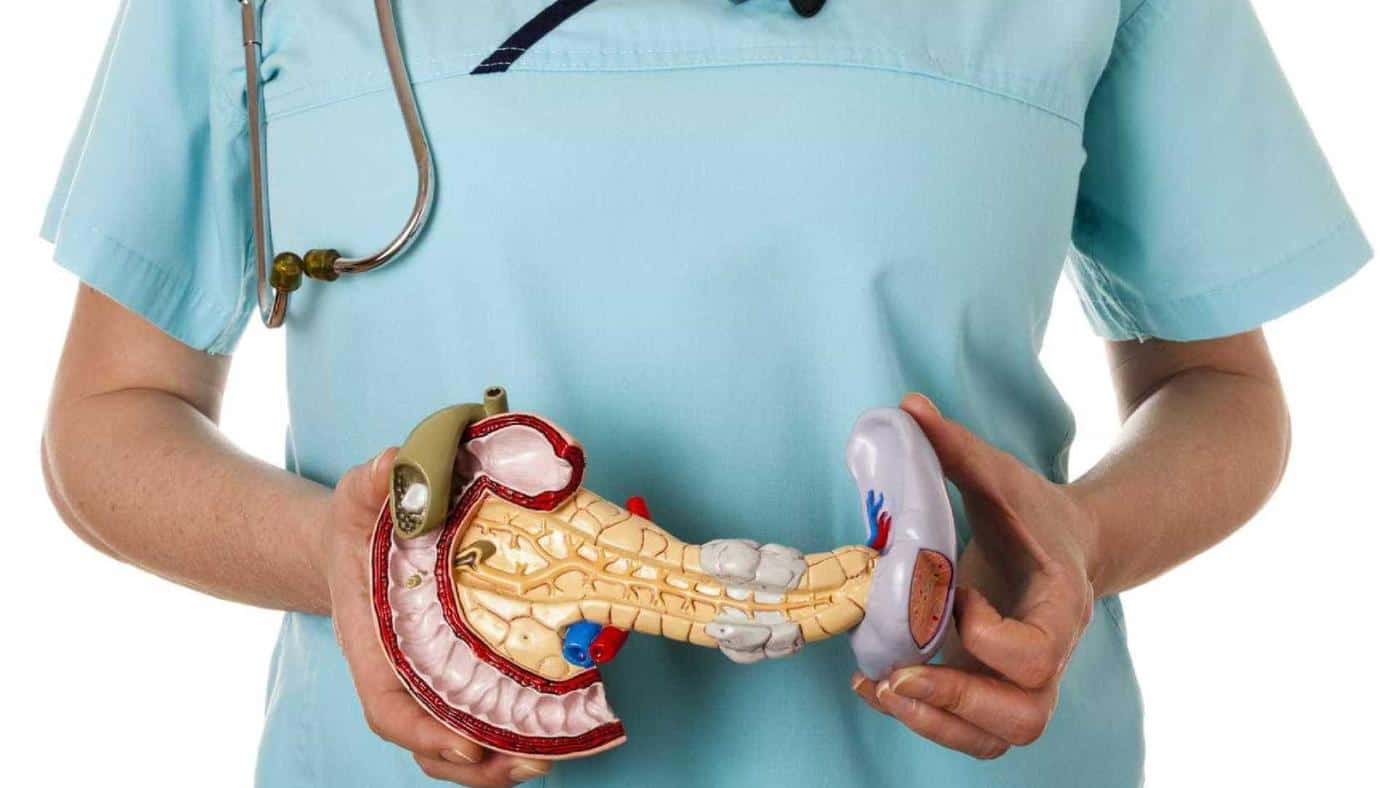 Portugal regista 500 casos de cancro do pâncreas por ano