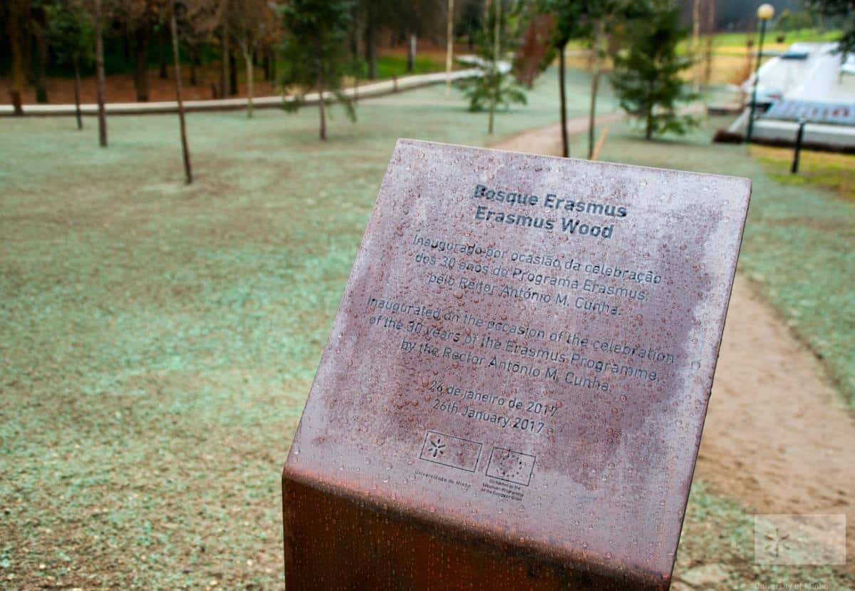 UM é uma das 50 universidades mais sustentáveis do Mundo