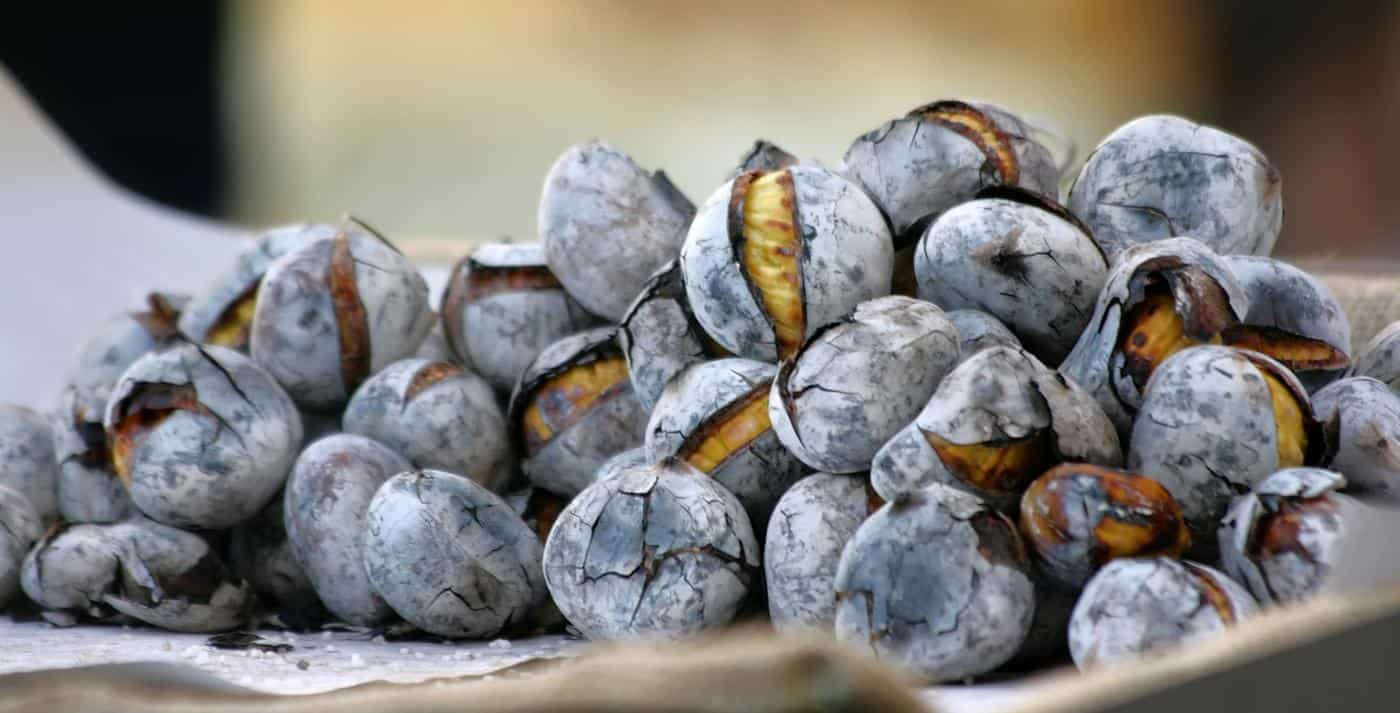 Campo da Vinha volta a celebrar S. Martinho