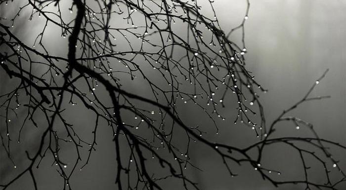 Massa de ar polar arrefece país nos próximos dias