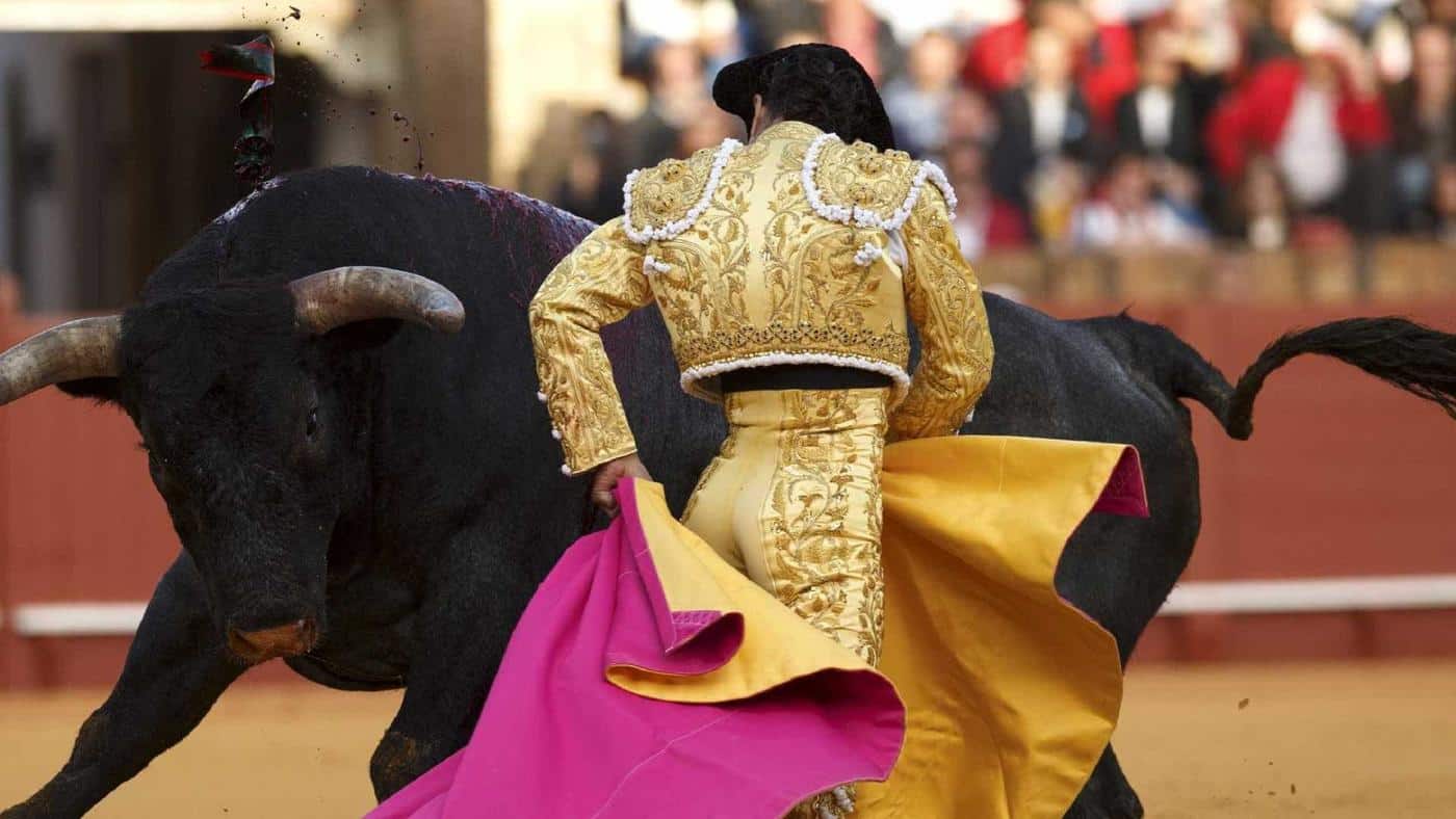 Touradas vão continuar