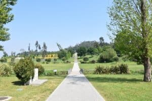 “Arte no Parque” volta a Famalicão