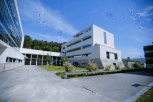 CEB. Novo fungo pode combater doenças provocadas pela maçã