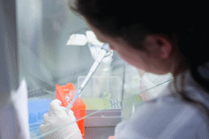 UMinho estuda forma de limpar solos contaminados