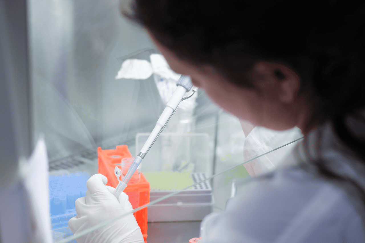 UMinho estuda forma de limpar solos contaminados