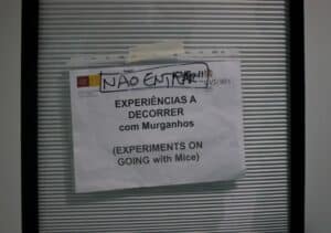 Investigação animal. UMinho assina Acordo de Transparência