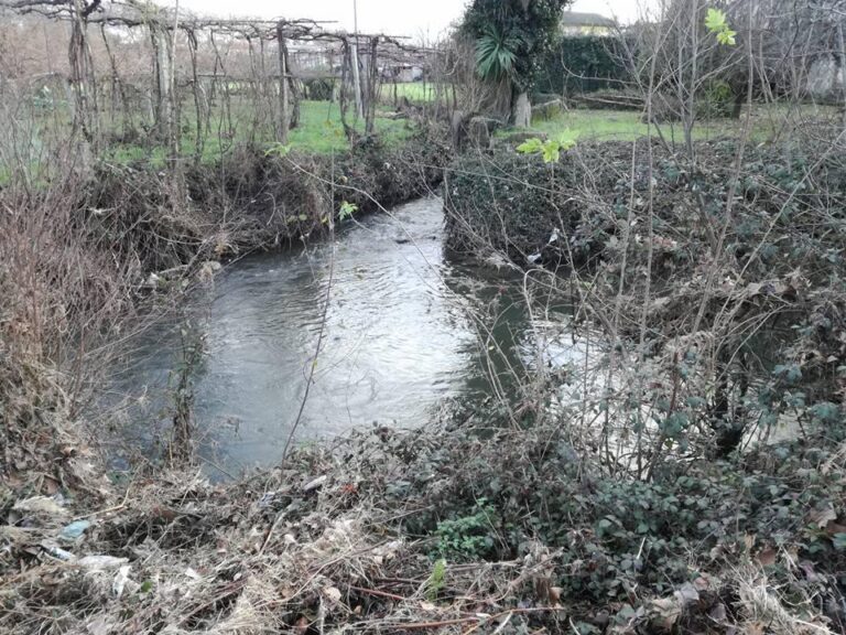 Nova Acrópole organiza acção de voluntariado