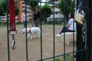 Bastaram duas horas para fechar parque canino das Lameiras