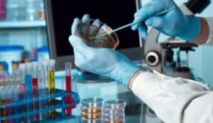 INL acolhe principal encontro europeu de Nanomedicina