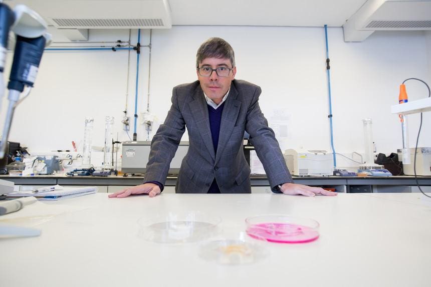 Rui L.Reis distinguido pela UNESCO esta sexta-feira