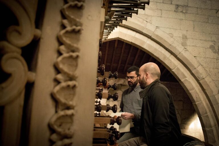 À descoberta do Órgão Ibérico