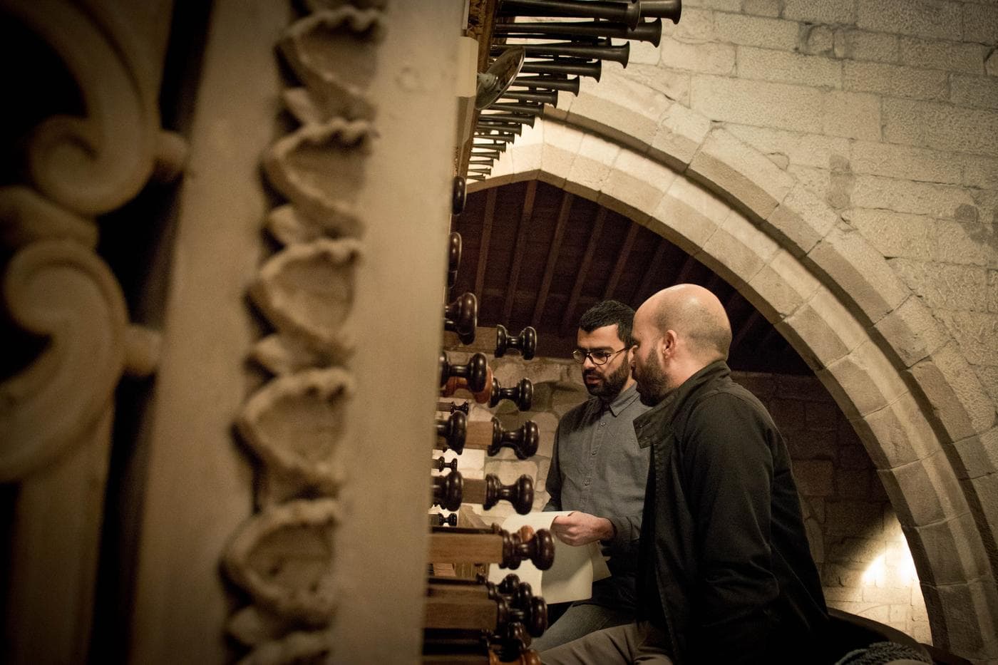 À descoberta do Órgão Ibérico