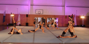 Festa da Ginástica Desportiva será "momento alto" da CED