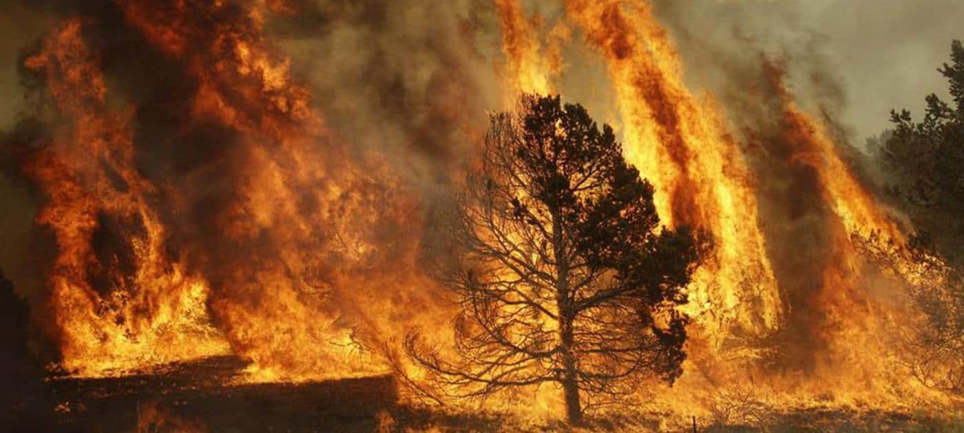 Braga entre os distritos com mais área ardida em 2018