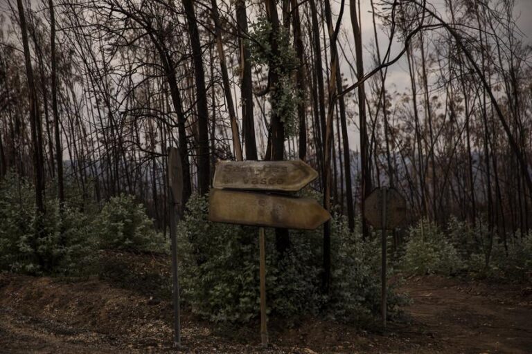 Aldeias em risco de incêndio vão ter oficial de segurança