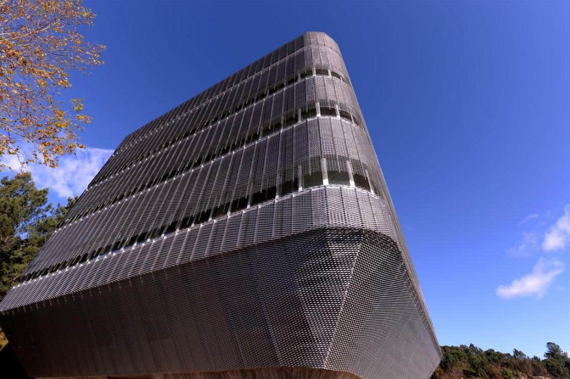 IB-S/UMinho celebra o primeiro aniversário