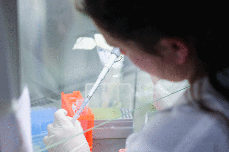 O CEB da UMinho agora também está no Porto