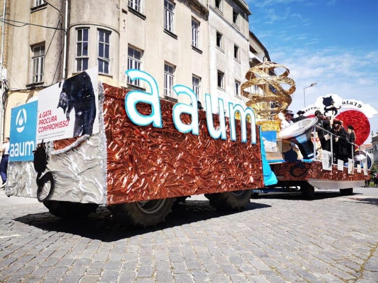 A Gata já procura compromisso nas ruas de Braga