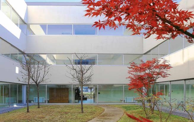 Miguel Gonçalves preside à Escola de Psicologia