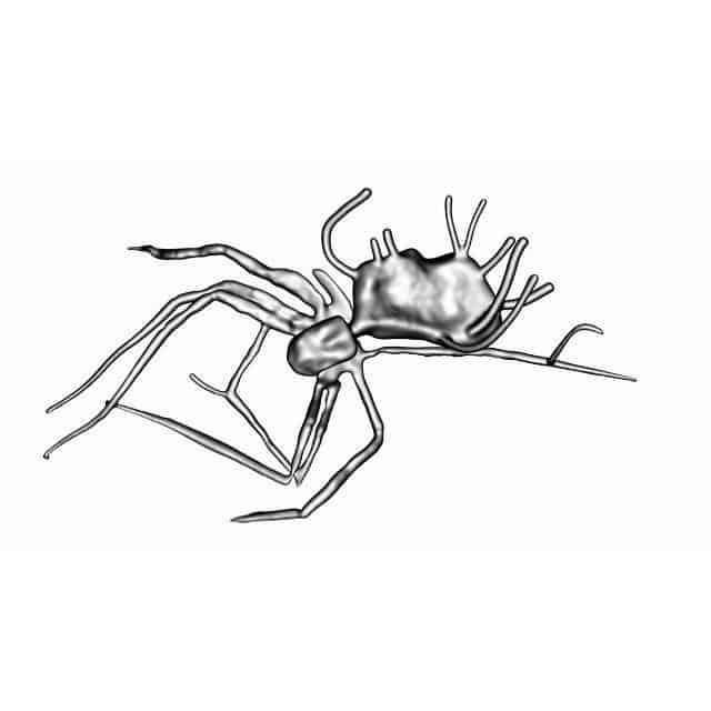 Laric apresenta 'Walking Sideways' no Forum Arte Braga