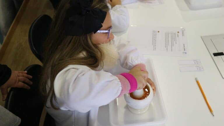 Planetário celebra Dia Mundial das Zonas Húmidas