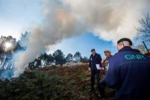 GNR multa 3.650 proprietários por falta de limpeza