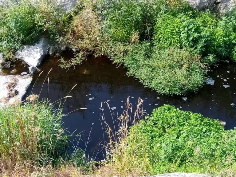 Rio Este alvo de nova descarga