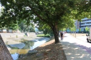 Rio Este. Carlos Almeida sugere encerramento de condutas