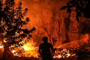 Proteção Civil dá incêndio de Monchique como "dominado"
