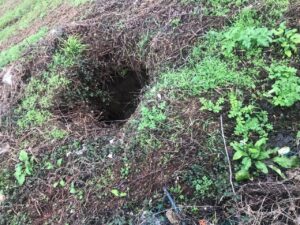 CMG pede aos vimaranenses para denunciar poços sem cobertura