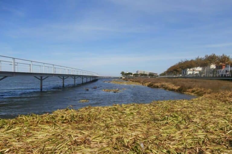 PCP exige resposta sobre adiamento de dragagens em Esposende