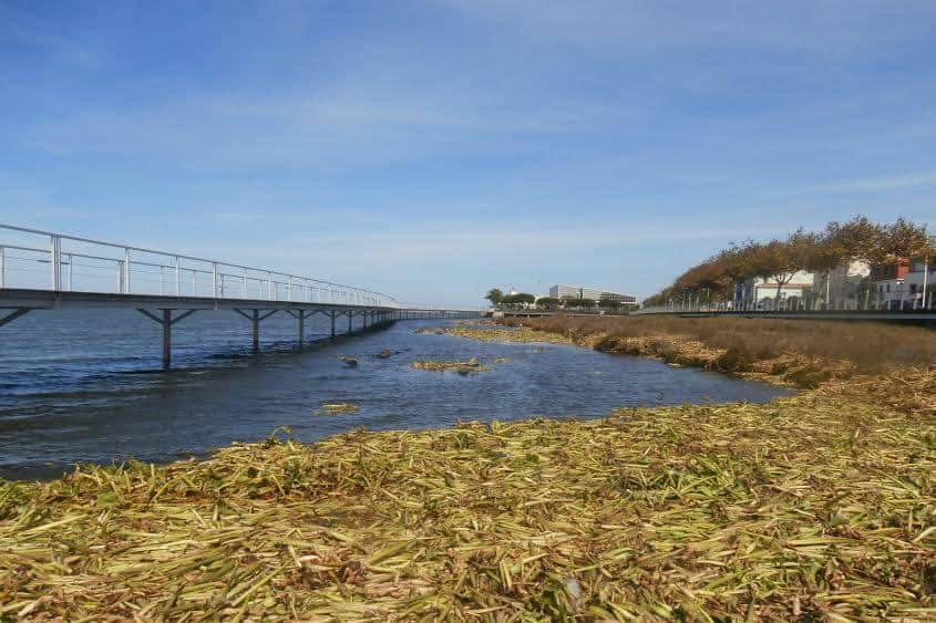 PCP exige resposta sobre adiamento de dragagens em Esposende